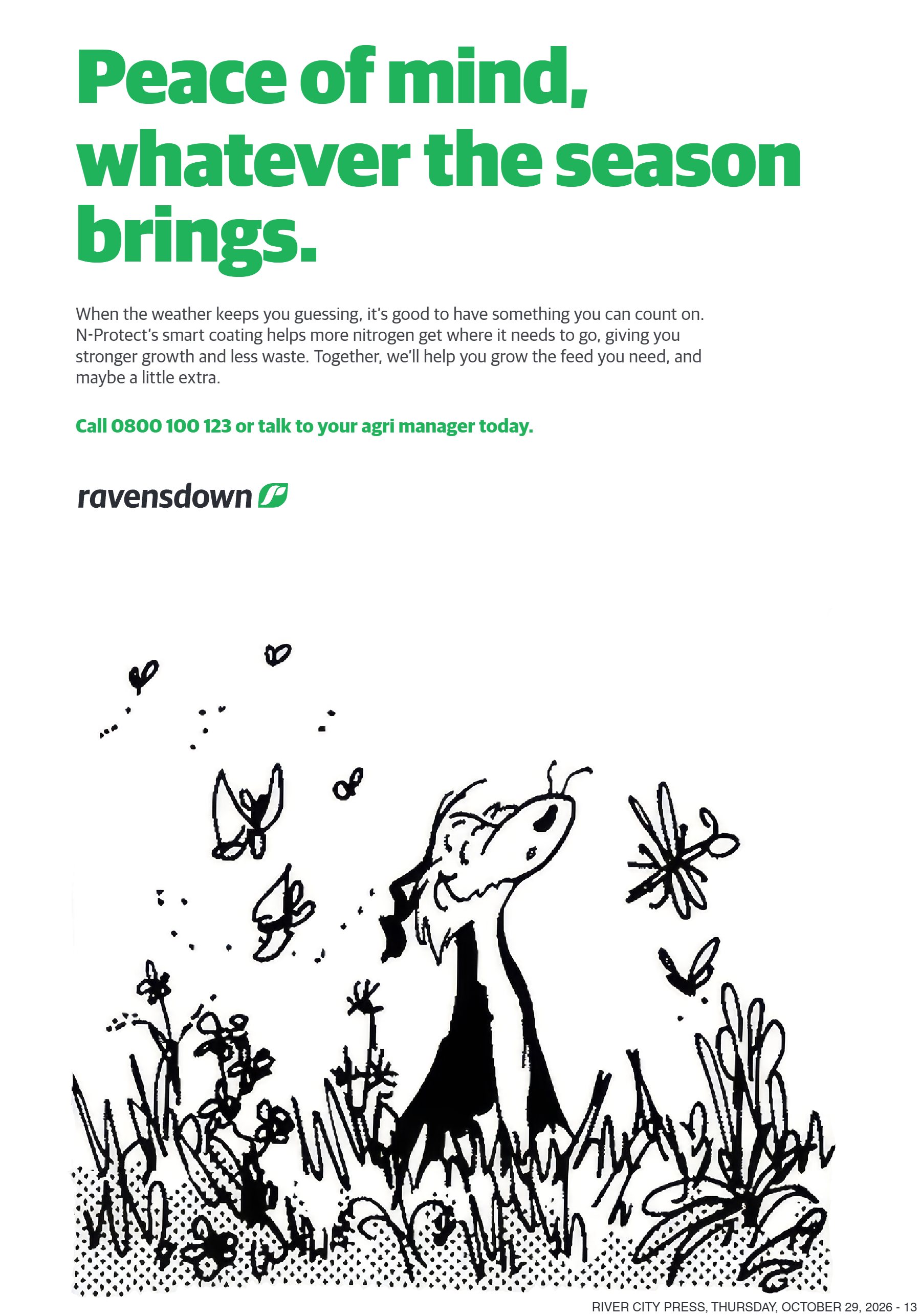 Page 13 of the 29 October 2026 edition